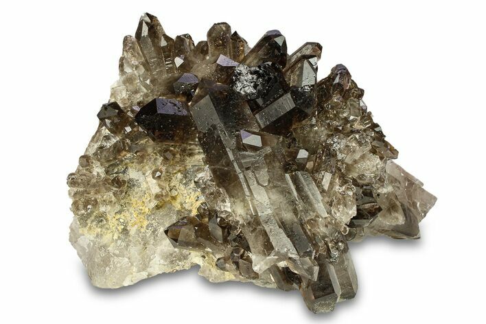 Dark Smoky Quartz Crystal Cluster - Brazil #302221